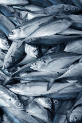 Obraz premium The market for marine fish. Street market. Sale of fresh fish. Freshly caught fish. Fish shop. Products for the restaurant. Fishery. Asian cuisine. Seafood. Healthy diet. Fisherman. Catch. Fresh food