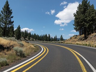 Fototapeta premium Winding road through a pine forest on a sunny day