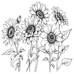 Elegant Sunflower Line Drawing Art for Graphic Design