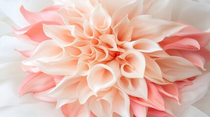 Delicate Floral Arrangement with Soft Pink and Cream Petals