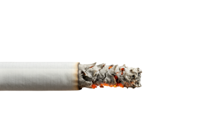 burned cigarette emphasizes the negative effects of tobacco use. isolated on transparent png