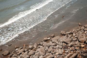 Coastal scene featuring gentle waves lapping against a rocky shore covered in barnacles.