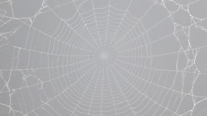 Fototapeta premium Delicate and intricate spider web pattern displayed against a soft and subtle gray backdrop