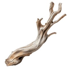 Isolated driftwood branch with textured surface and unique shape against white background studio shot