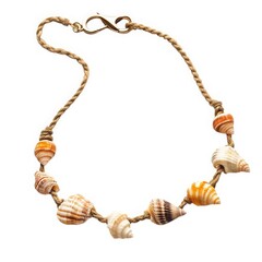 Close up of a seashell necklace with a brown rope and a gold clasp on a white background isolated