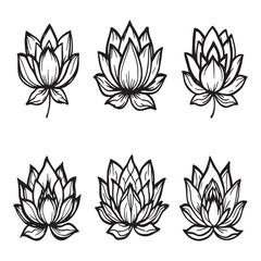 Lotus flower hand drawn botanical line art vector