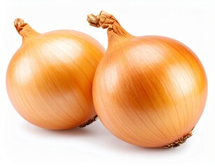 Yellow onion close view over white background