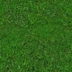 Vibrant green grass vector border, seamless repeat  Ideal for spring designs ,  artwork,  leaf,  pattern