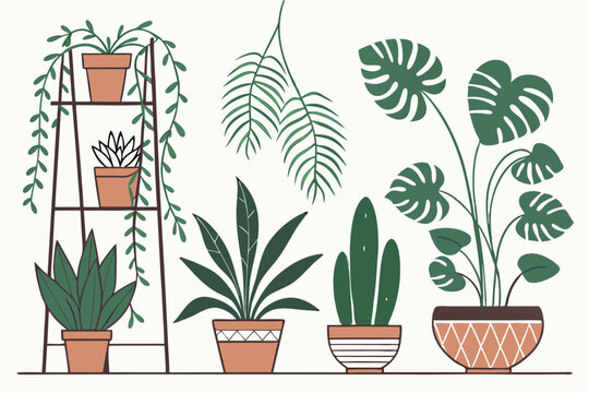 47 house plant, potted plants, indoor houseplants, succulent plants, hanging plants, cacti, ferns, herbs, vines, flower pots, terracotta pots, ceramic pots, plant collection, botanical illustration, p