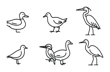 Bird silhouette icons set – outline, linear, avian and wildlife symbols