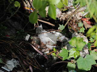 Disposing of waste improperly is an environmental pollutant.