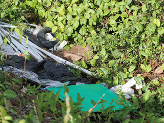 Disposing of waste improperly is an environmental pollutant.