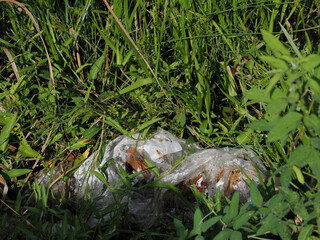 Disposing of waste improperly is an environmental pollutant.