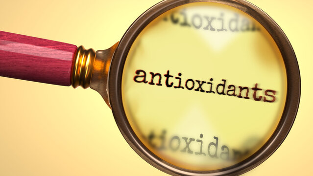 Antioxidants being studied under magnifying glass. Focusing on a topic of antioxidants. Taking a closer look at antioxidants. Examination of it ,3d illustration