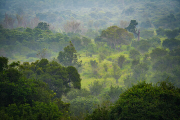 Natural scenic landscape of Sigiriya area, Sri Lanka, Asia	