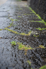 雨で濡れている石畳の路面