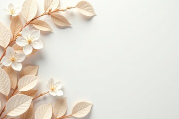 Soft and airy white backdrop with beige leaves and white flowers, outdoors, summer season