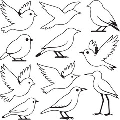 Obraz premium Birds of line art