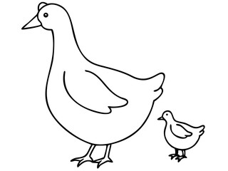 Black silhouette design featuring a hen and a duck vector shape on a white background