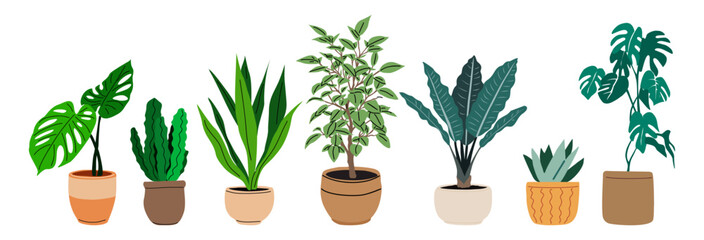 Potted house indoor plants set. Green leaf home decoration, cactus, succulent, monstera, alocasia growing in flowerpots. Different foliage. Flat vector illustrations isolated on transparent background