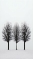 A minimalist scene featuring three bare trees against a white background, conveying solitude and tranquility in nature.