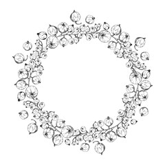 Currant gooseberry cluster bunch on stems, ripe garden berry casseille juneberry jostaberry, vector ink hand drawn. Isolated wreath frame. Home preserves, cookbook, grocery store, farmers market cards