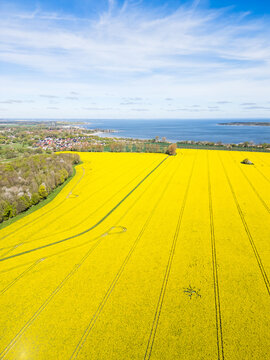 Aerial View of Rapeseed Field and Greifswalder Bodden with Wieck / Greifswald in the background