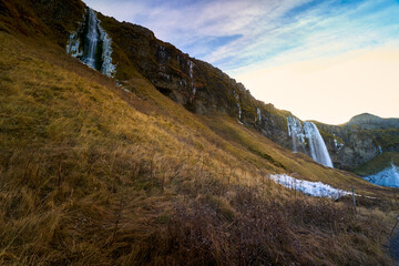 seljalandsfoss waterfall and yellow field grass on sun light , Iceland ladscape landmark travel.