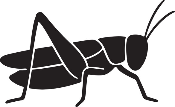 Grasshopper Silhouette Insect Vector Illustration.