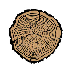Wood slice icon vector. Wood rings illustration sign. Tree symbol. Sawmill logo.