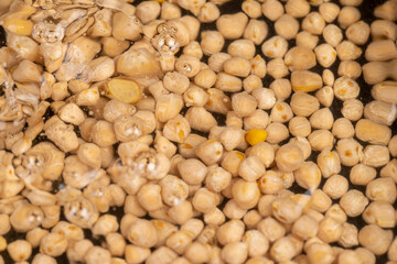 chickpeas in the water, poured into the water before cooking and a large number of chickpeas, closeup