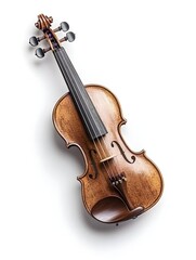 A classic violin with a rich, amber-brown finish, featuring a dark ebony fingerboard and four black tuning pegs