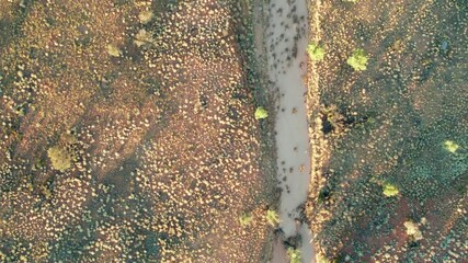Vertical drone footage of a small creek near Kings Canyon, Watarrka. Northern Territory, Australia. August 2022 - Powered by Adobe