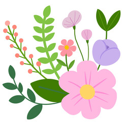 pink flowers on white background