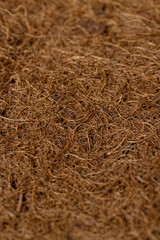 made from coconut shavings glued together part of an old used mattress, closeup