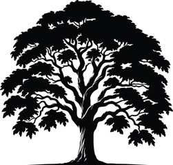 Obraz premium Nature Symbol Elm Tree