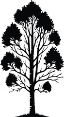 Obraz premium Vector Aspen Design