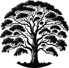 Obraz premium Black White Tree Silhouette