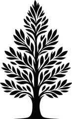 Black and white juniper
