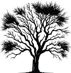 Sparse Tree Vector