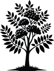 Obraz premium Vector plant illustration