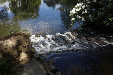 Small waterfall among the rocks and vegetation in garden