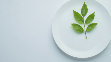 Fresh green leaves arranged on white plate create serene and natural aesthetic, perfect for culinary presentations