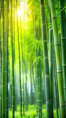 Obraz premium Serene Bamboo Grove with Green Leaves in Soft Focus