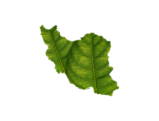 Iran Map Made Of Green Leaves On Soil Background Ecology Concept 3d Illustration