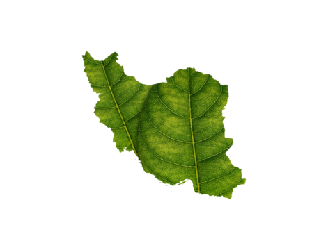 Iran Map Made Of Green Leaves On Soil Background Ecology Concept 3d Illustration
