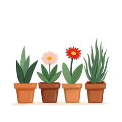 Obraz premium flowers in pot