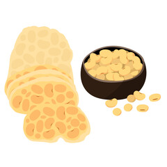 tempeh, Indonesian preserved food, alternative plant protein source