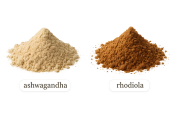 Piles of powdered ashwagandha and rhodiola displayed side by side, labeled with their names. Concept Herbal Supplements, Ashwagandha Benefits, Rhodiola Uses, Natural Adaptogens, Nutritional Labels