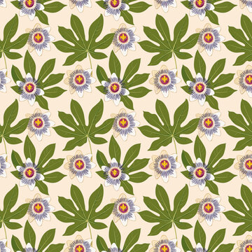 Lindos design&acute;s para estamparias 